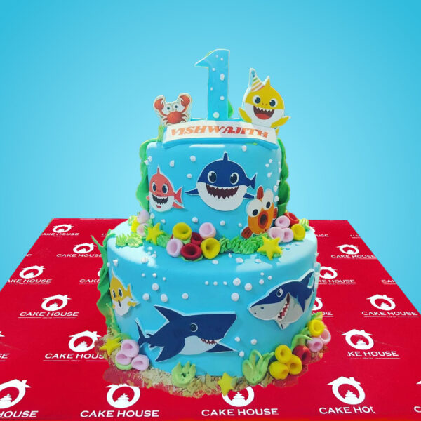 Birthday Cake 52