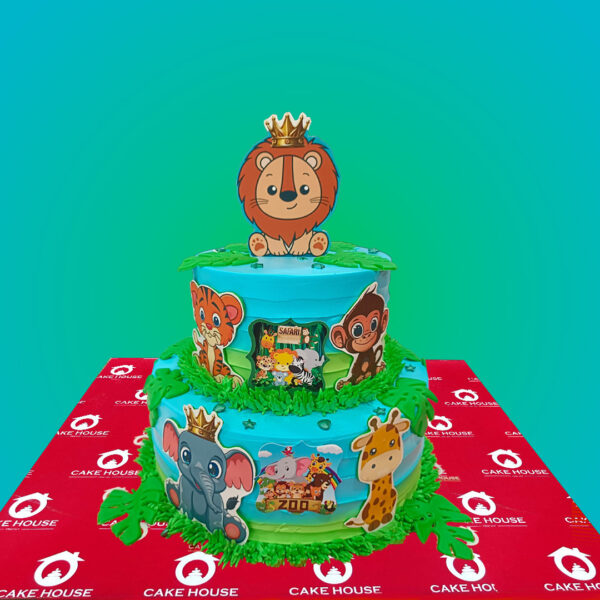 Birthday Cake 24
